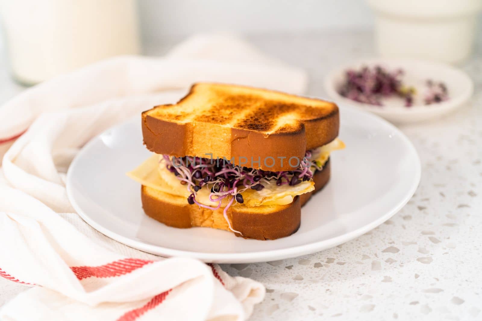 Breakfast egg and sprout sandwich on a white plate.