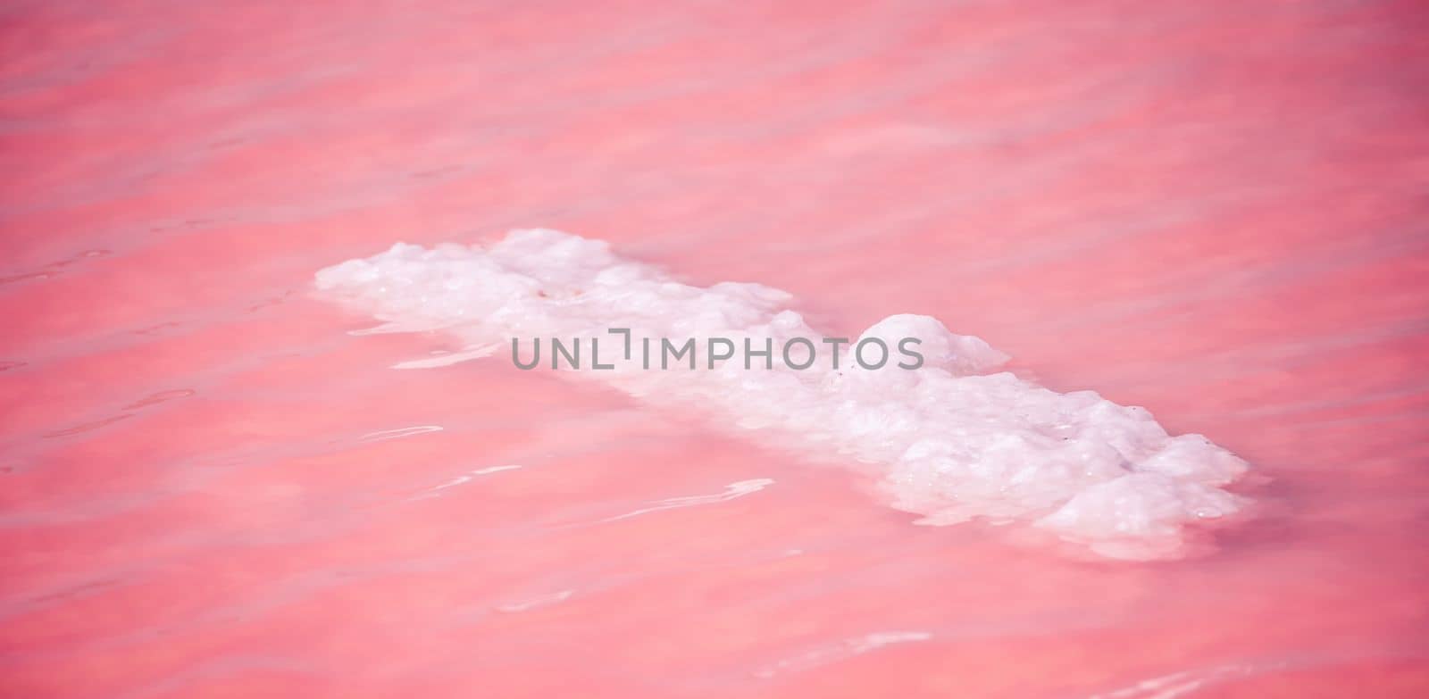 Salt mining. Salty pink lake with crystals of salt. Extremely salty pink lake, colored by microalgae with crystalline salt depositions