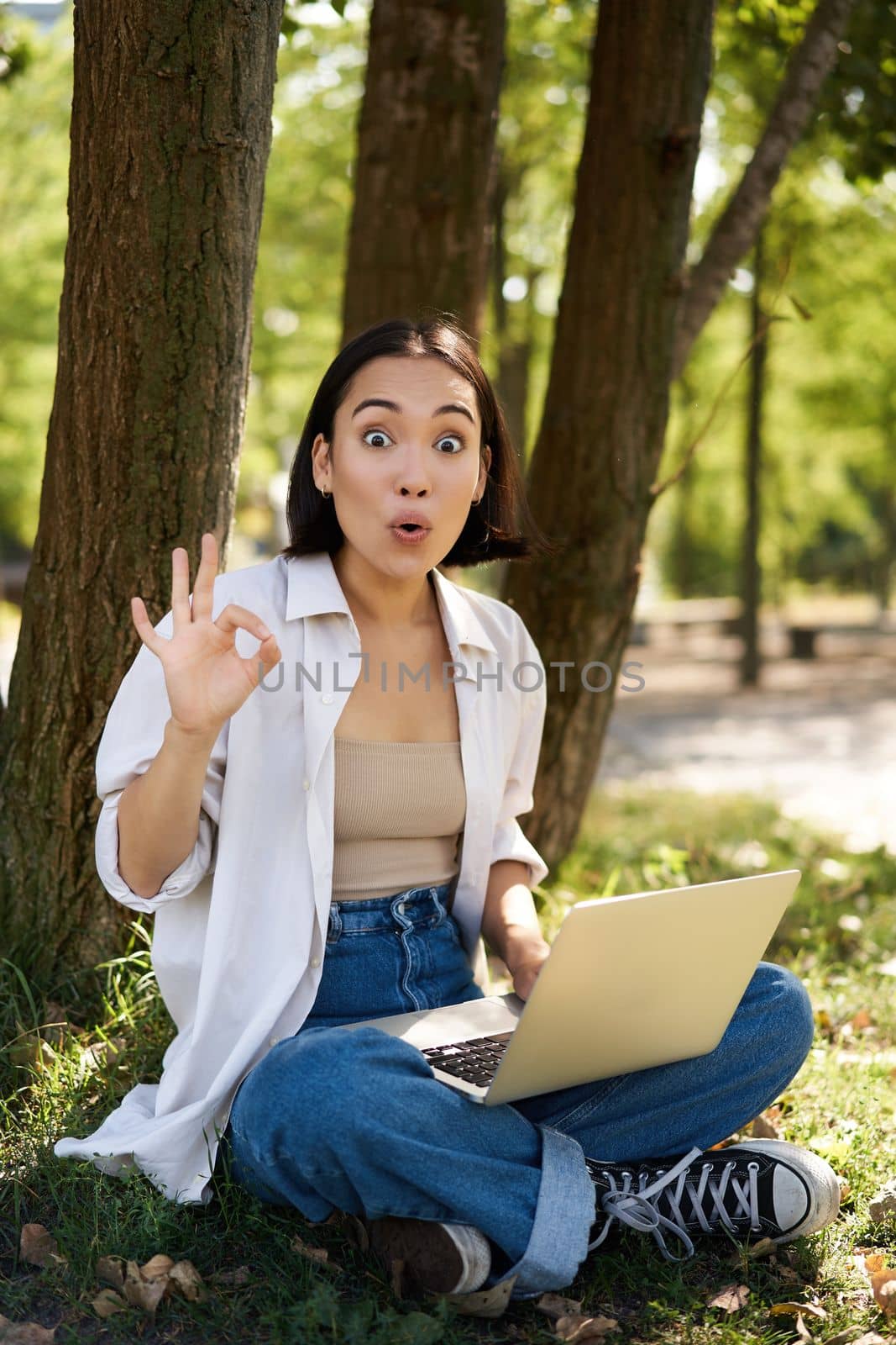 Portrait of asian young woman, student doing homework, working in park, sitting beside tree with laptop and showing okay sign, approve smth.