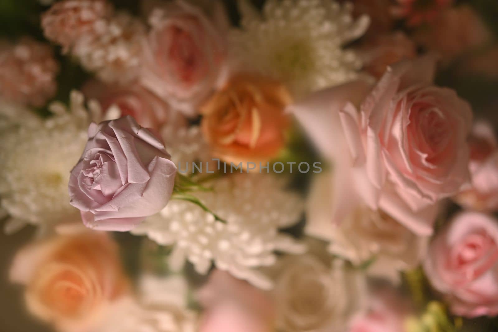 Beautiful pink and white flowers in foggy glass blurry condensation. Textiles, paper, floral botanical wallpaper.