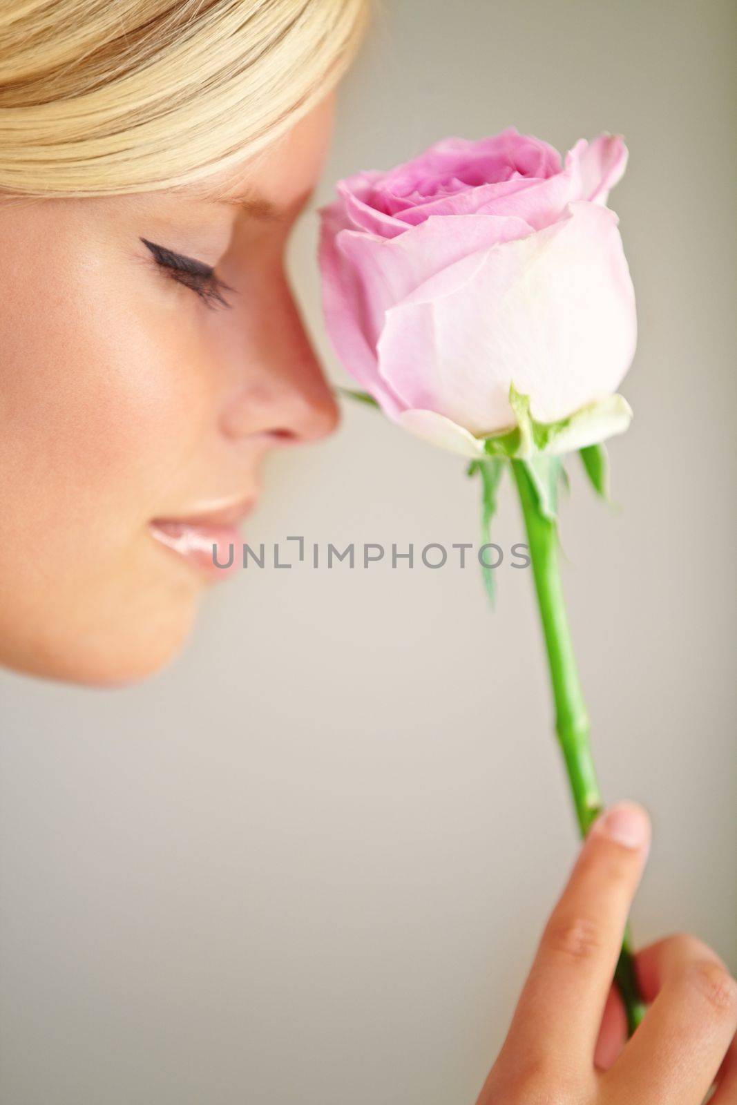 Flower, romance and woman in a studio with a rose for a fragrance, scent or aroma to smell. Floral, cosmetic and female model from Australia with a natural beauty makeup routine by a gray background