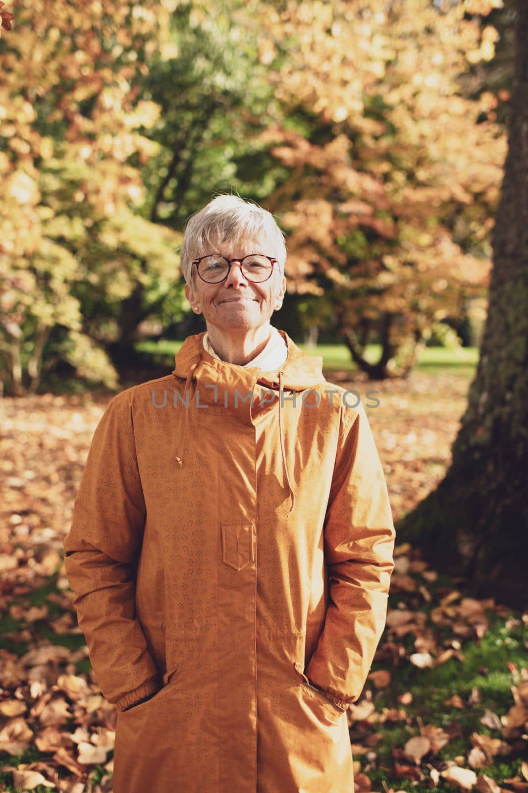 Portrait of a 75 years old gray-haired woman