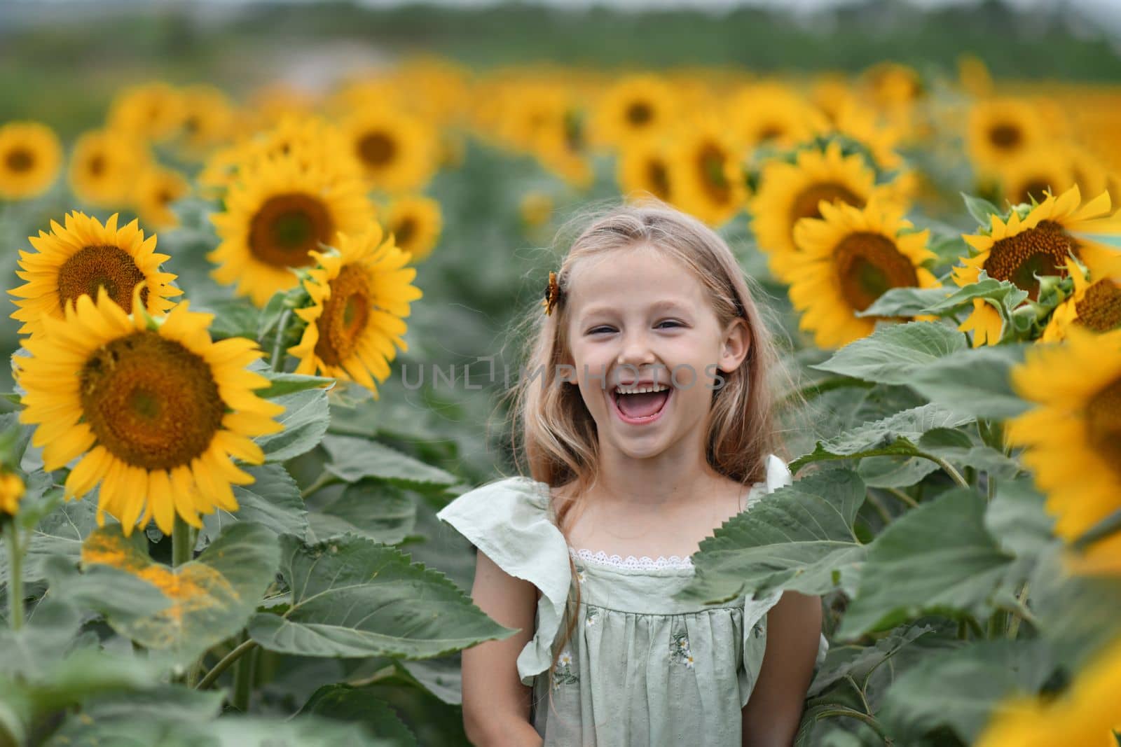 A girl in a dress enjoys life in a field with sunflowers