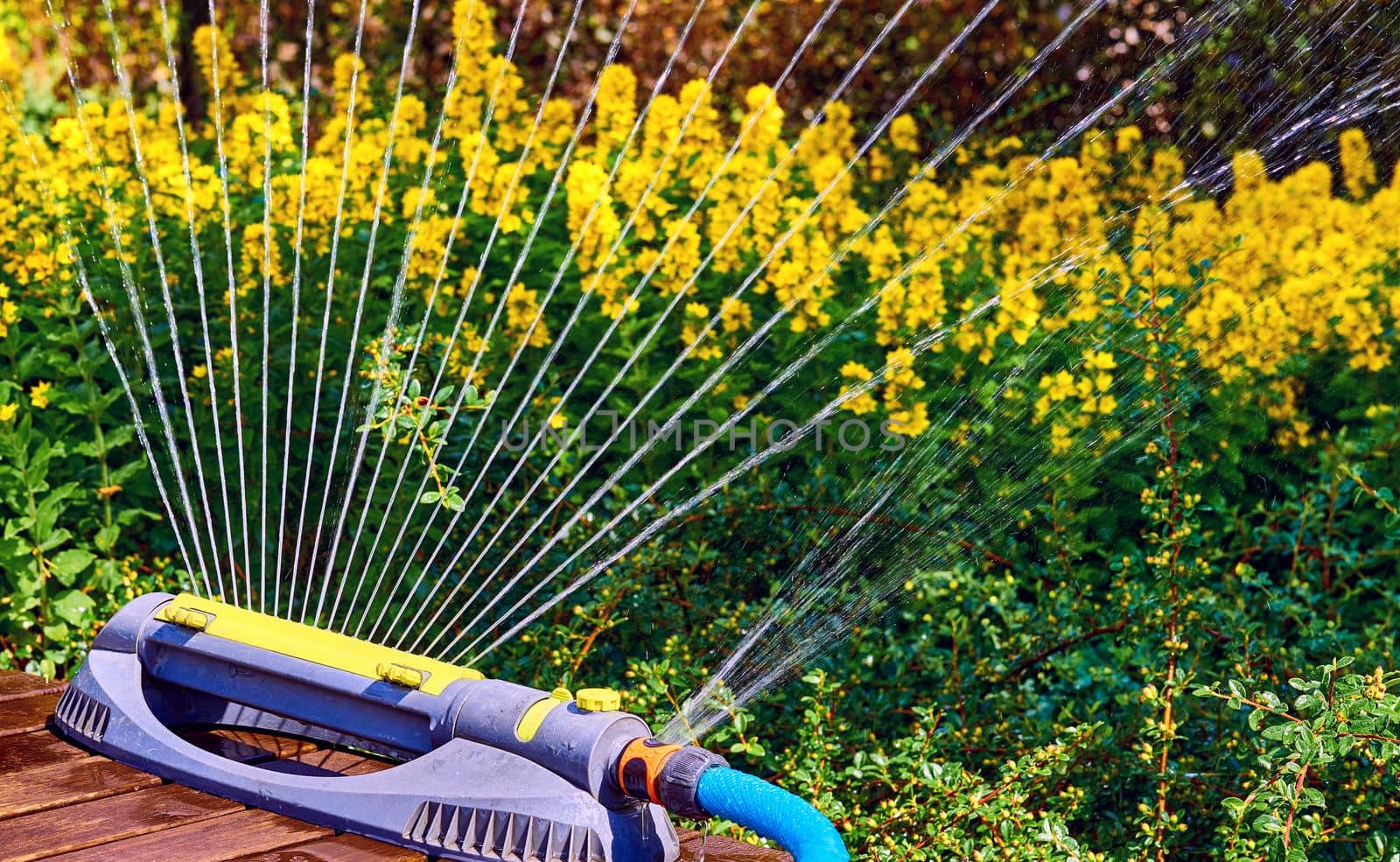 the supply of water to land or crops to help growth, typically by means of channels. Irrigation system, sprinkler watering flowers on a hot day in a city park.