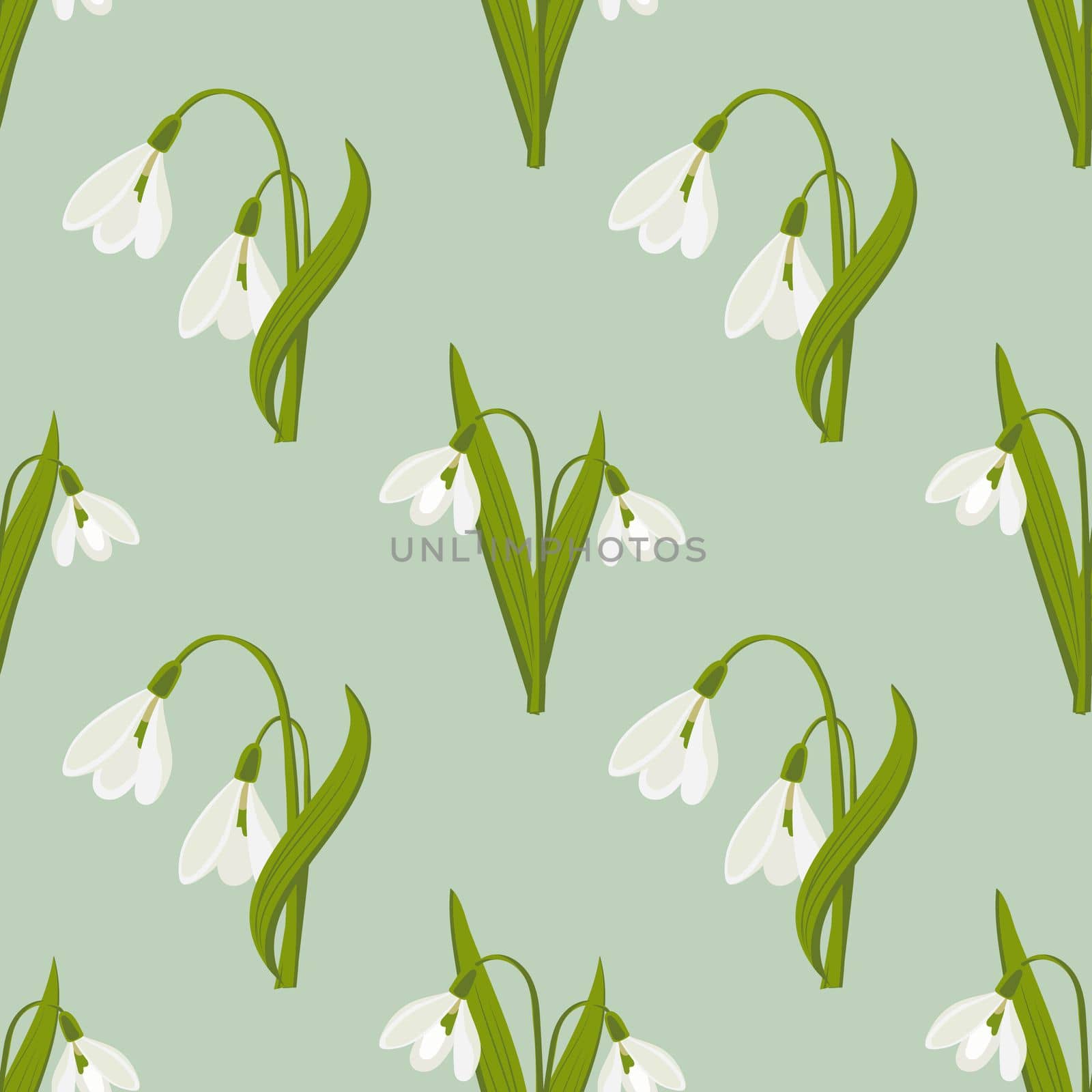 Seamless pattern, delicate flowers of snowdrops on a light green background. Spring background, textile, print, vector