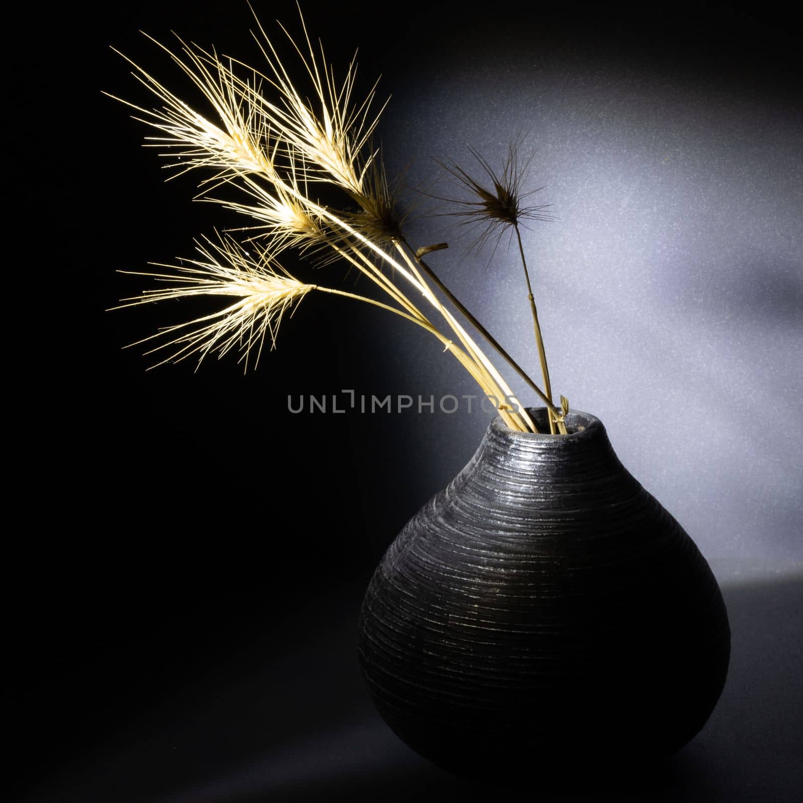 Dried spikelets in a small decorative vase by clusterx