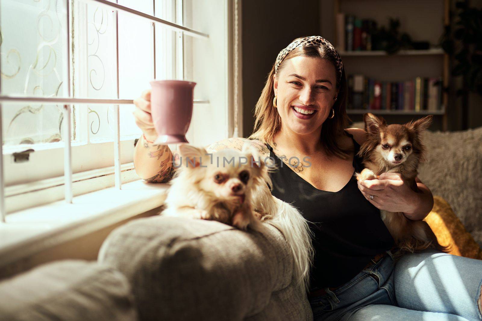 The tiniest pets can show the biggest loyalty. a young woman having coffee and relaxing with her dogs on the sofa at home. by YuriArcurs