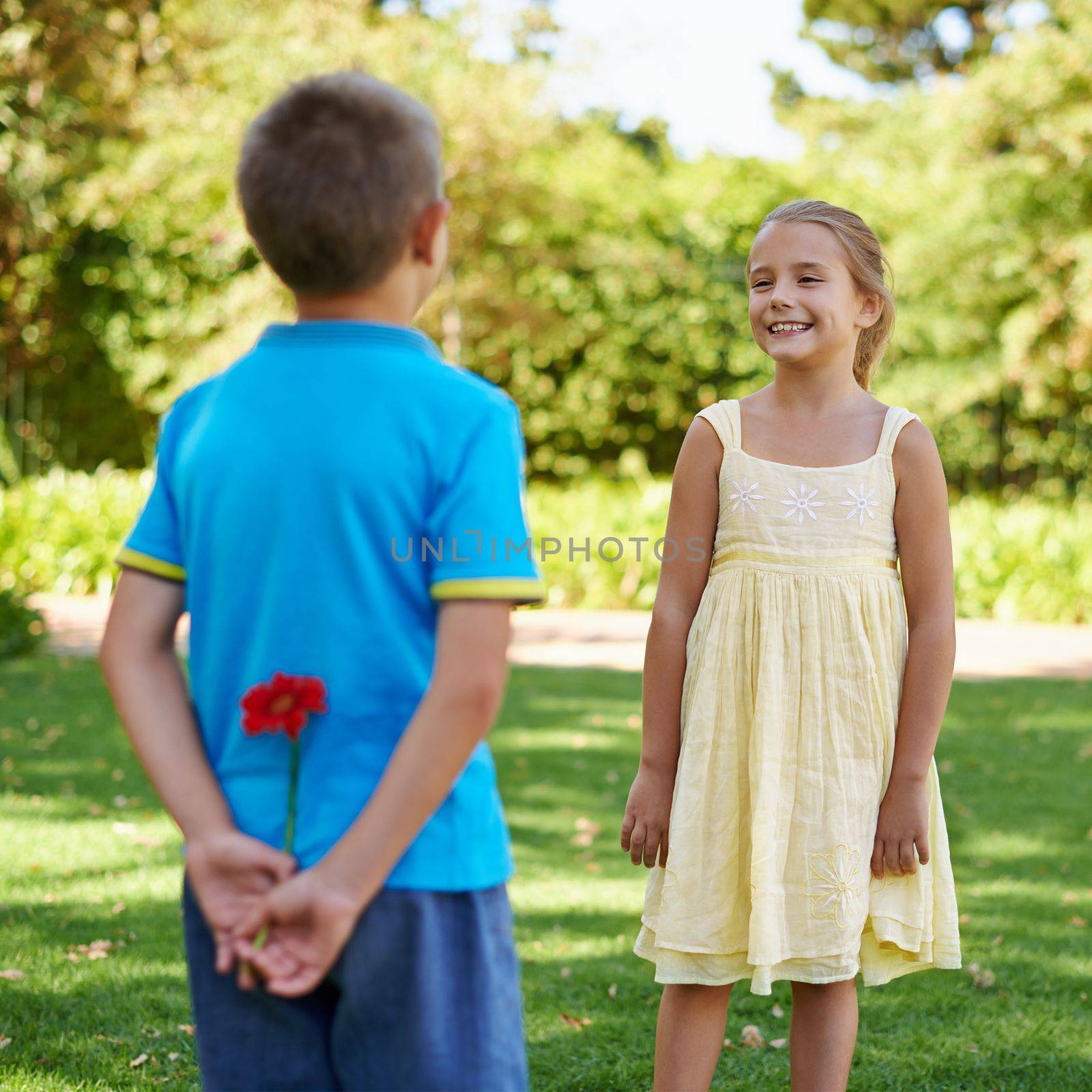 A charmer in the making. A little boy approaching a cute little girl with the intention of giving her a beautiful flower. by YuriArcurs