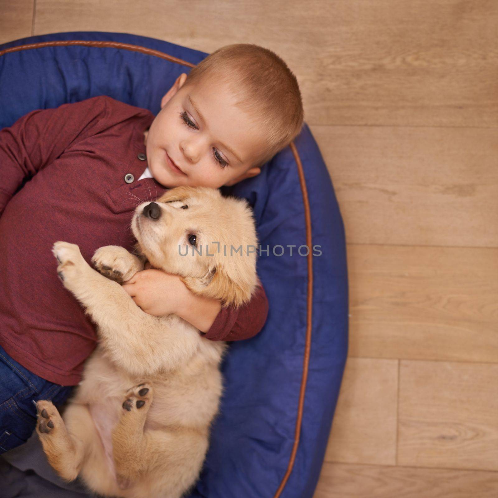 The best friend you can get. An adorable little boy with his puppy at home