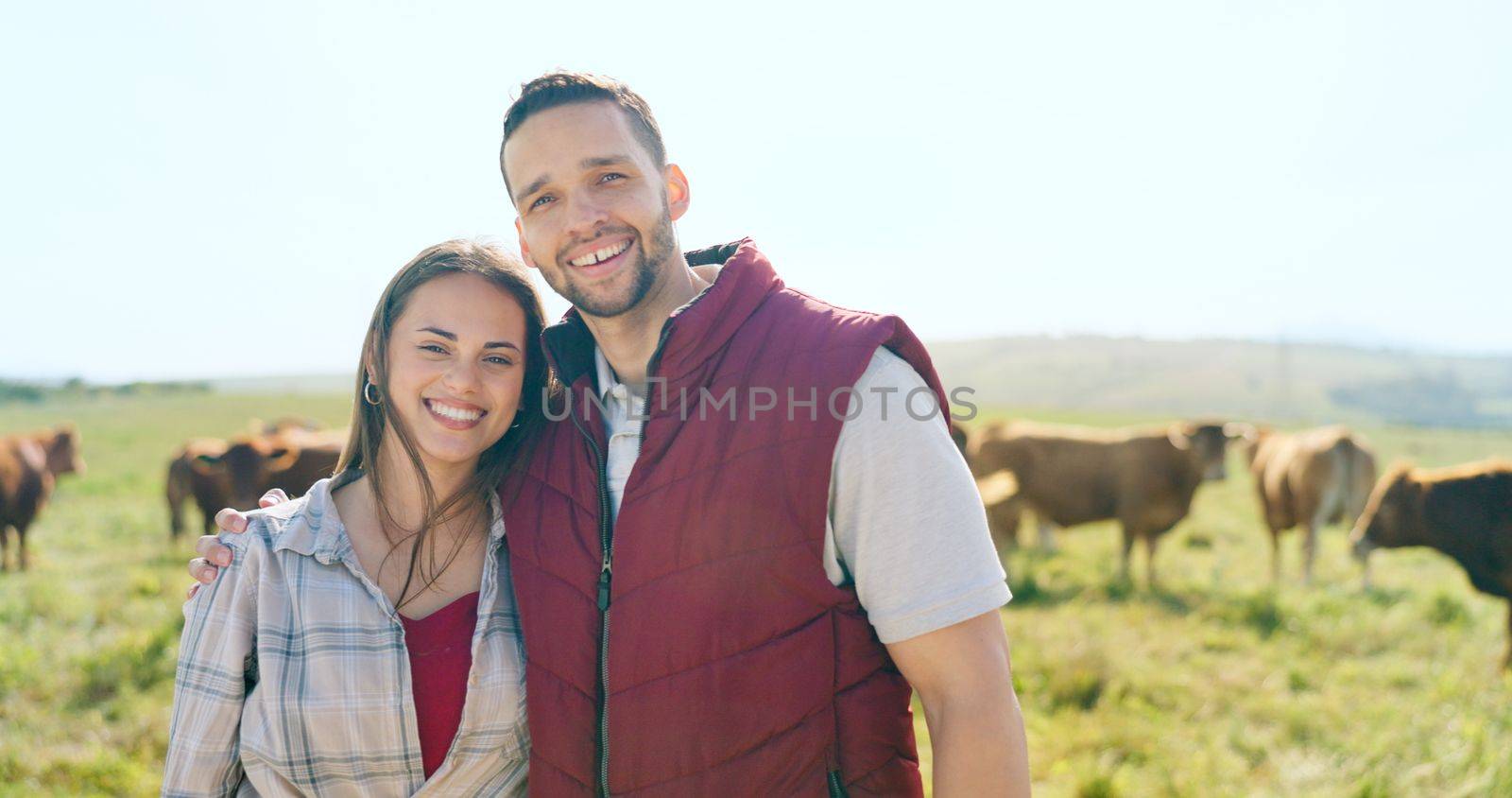 Cow, love and happy couple on a cattle farm hugging, bonding and enjoy quality time outdoors in nature. Smile, portrait and woman farming cows and harvesting animal livestock with a farmer on field.
