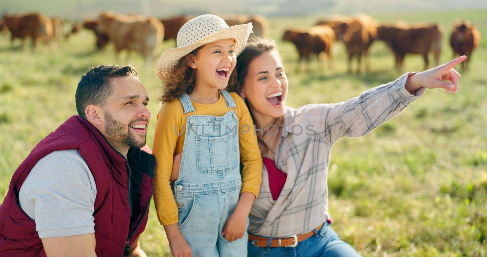 Happy family bonding on a cattle farm, happy, laughing and learning about animals in nature. Parents, girl and agriculture with family relaxing, enjoying and exploring the outdoors on an open field by YuriArcurs