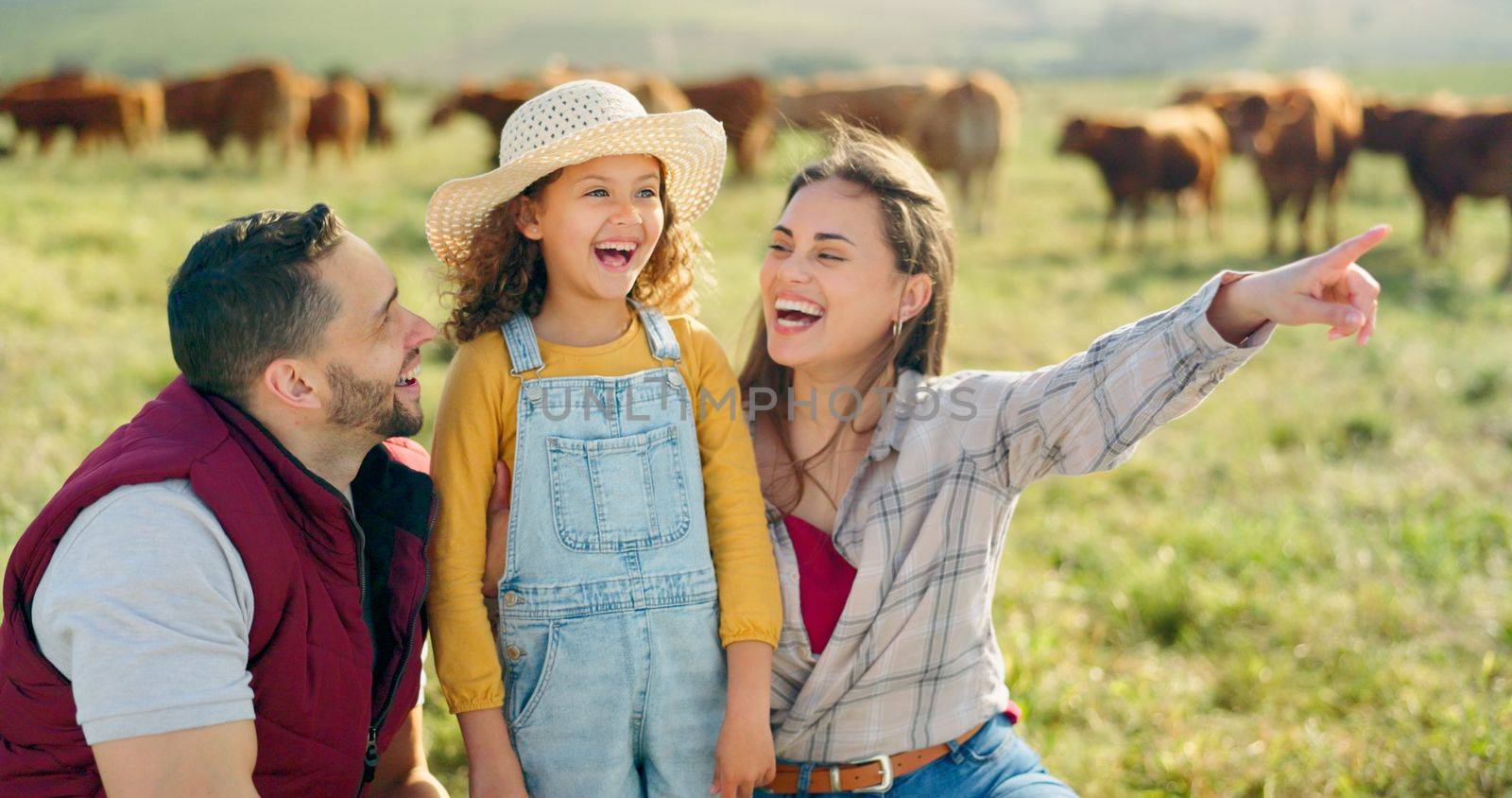 Happy family bonding on a cattle farm, happy, laughing and learning about animals in nature. Parents, girl and agriculture with family relaxing, enjoying and exploring the outdoors on an open field by YuriArcurs