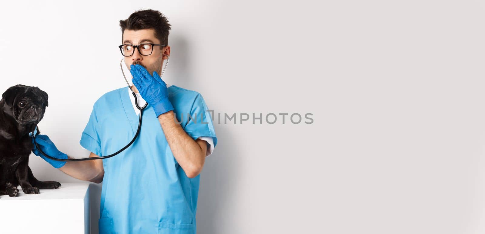 Shocked doctor in vet clinic examining dog with stethoscope, gasping amazed while cute black pug sitting still on table, white background by Benzoix