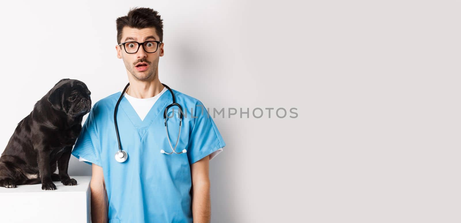 Handsome doctor veterinarian staring at camera surprised, small black dog pug sitting and waiting for examination in vet clinic, white background.