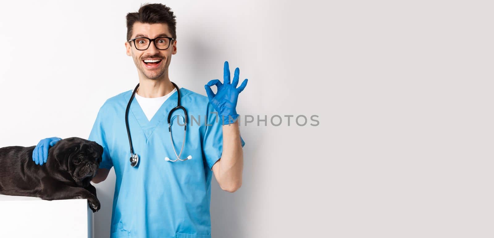 Happy male doctor veterinarian examining cute black dog pug, showing okay sign in approval, satisfied with animal health, standing over white background by Benzoix