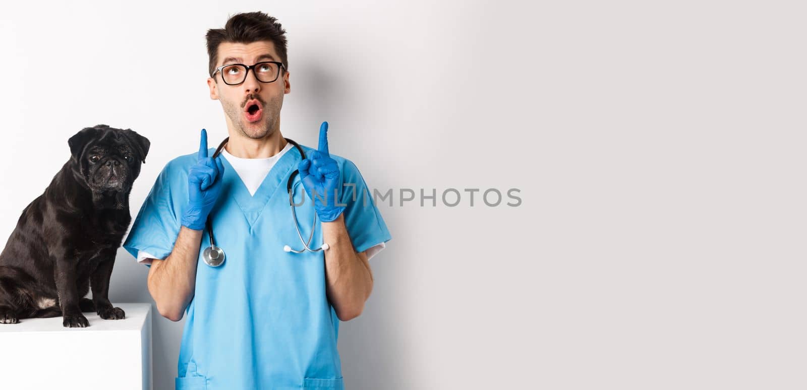 Handsome young doctor at vet clinic pointing fingers up and looking amazed, standing near cute black pug dog, white background.
