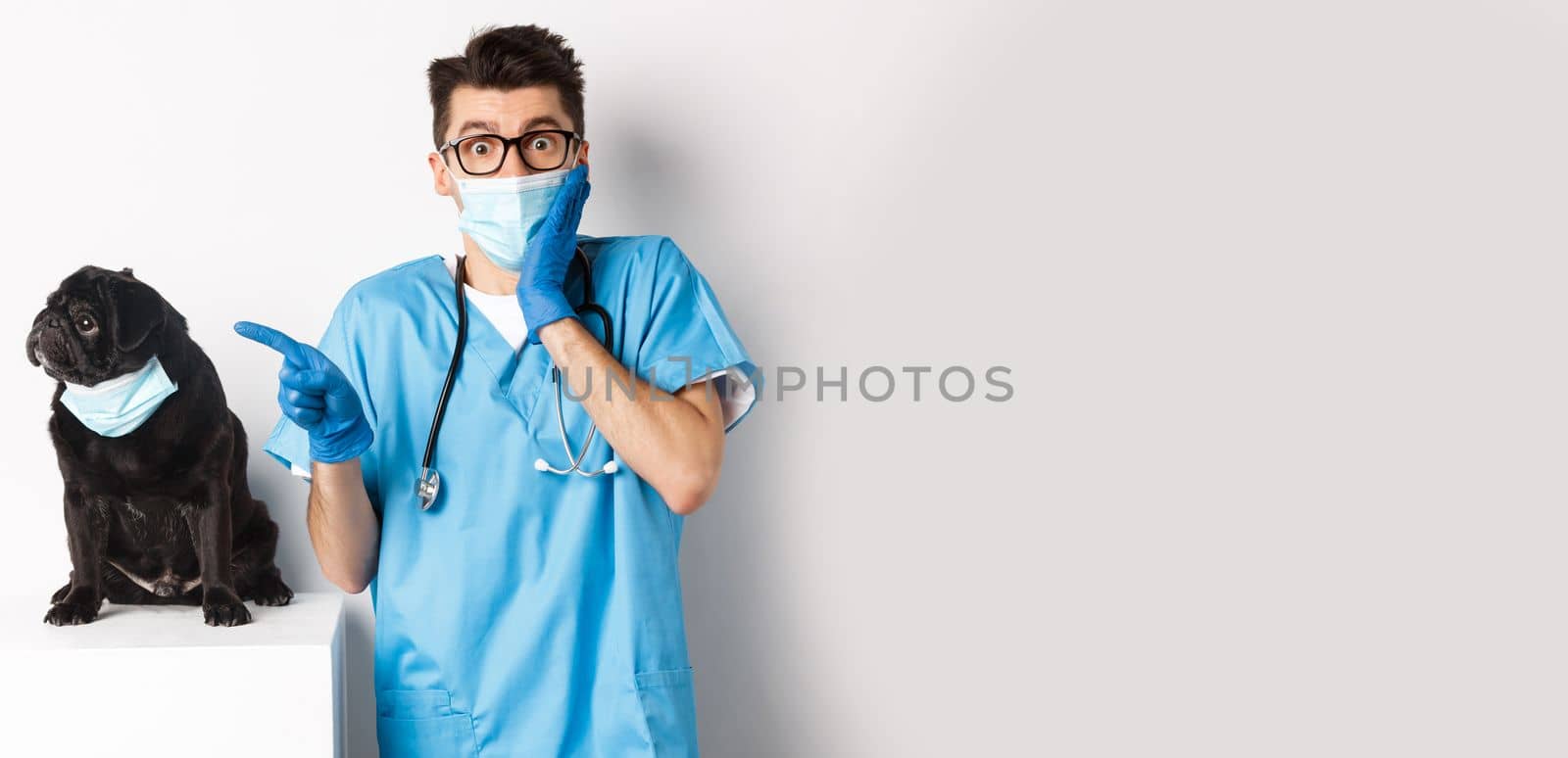 Cute black pug dog in face mask looking left at promo banner while doctor in veterinarian clinic pointing finger, standing over white background by Benzoix