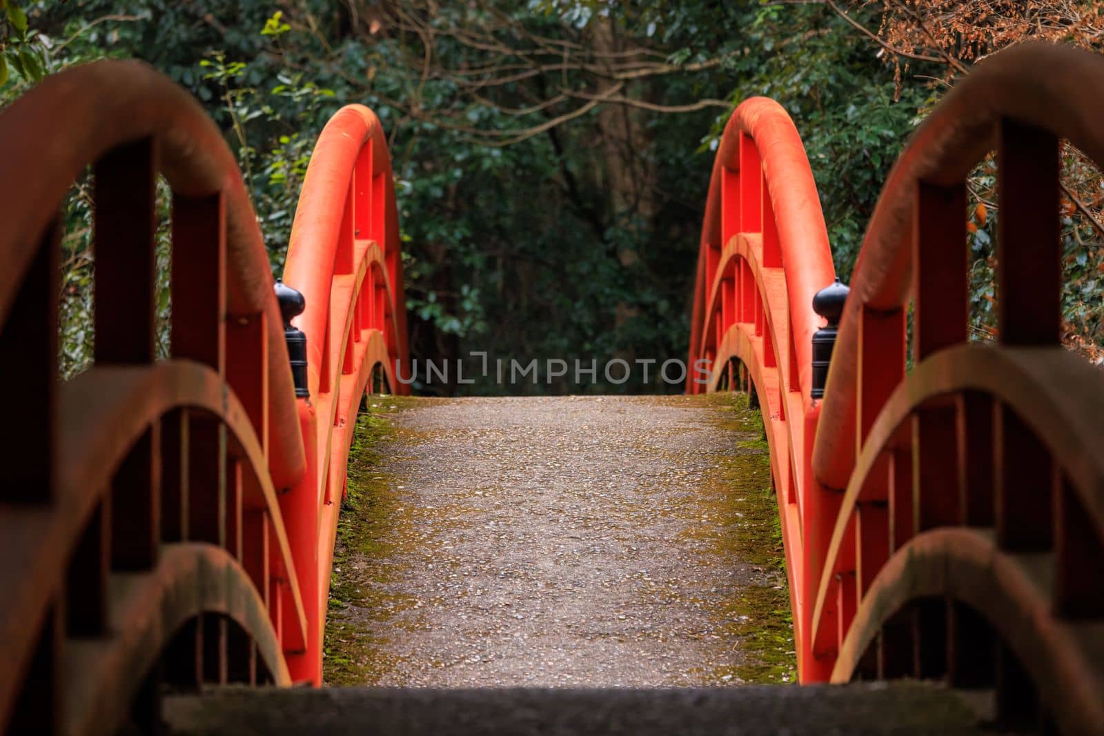 Red railings on empty arched bridge with trees and foliage in background by Osaze