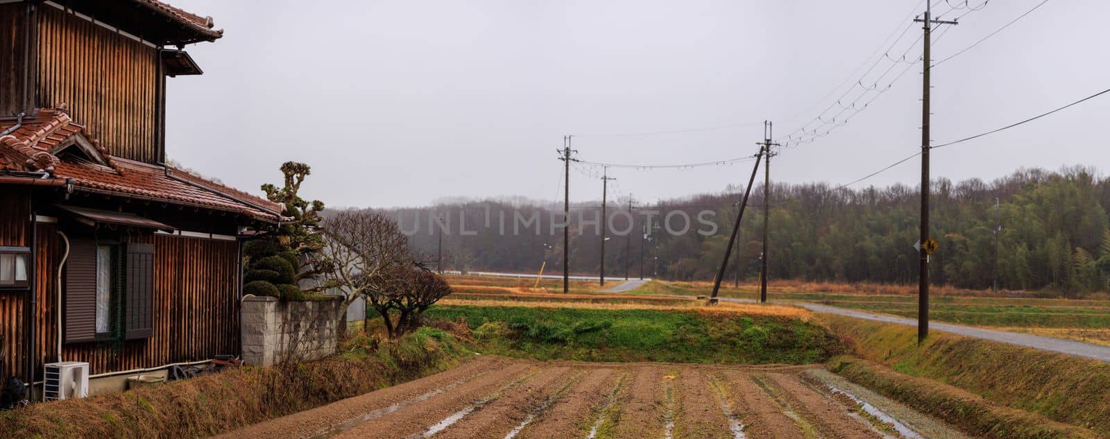Old Wooden Japanese House by Small Rice Field and Country Road on Cloudy Day by Osaze