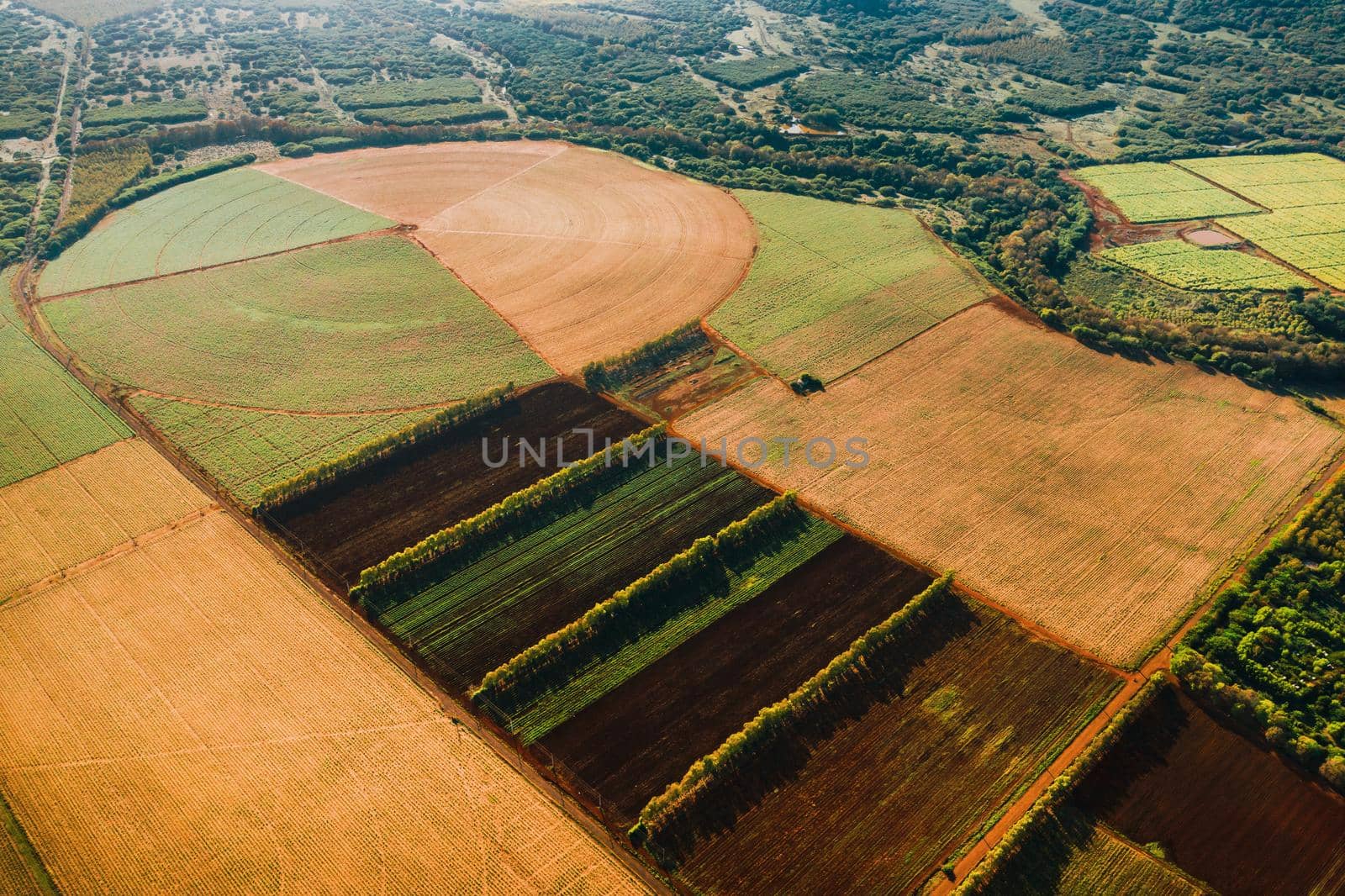 Aerial photography of round and rectangular fields located on the island of Mauritius.