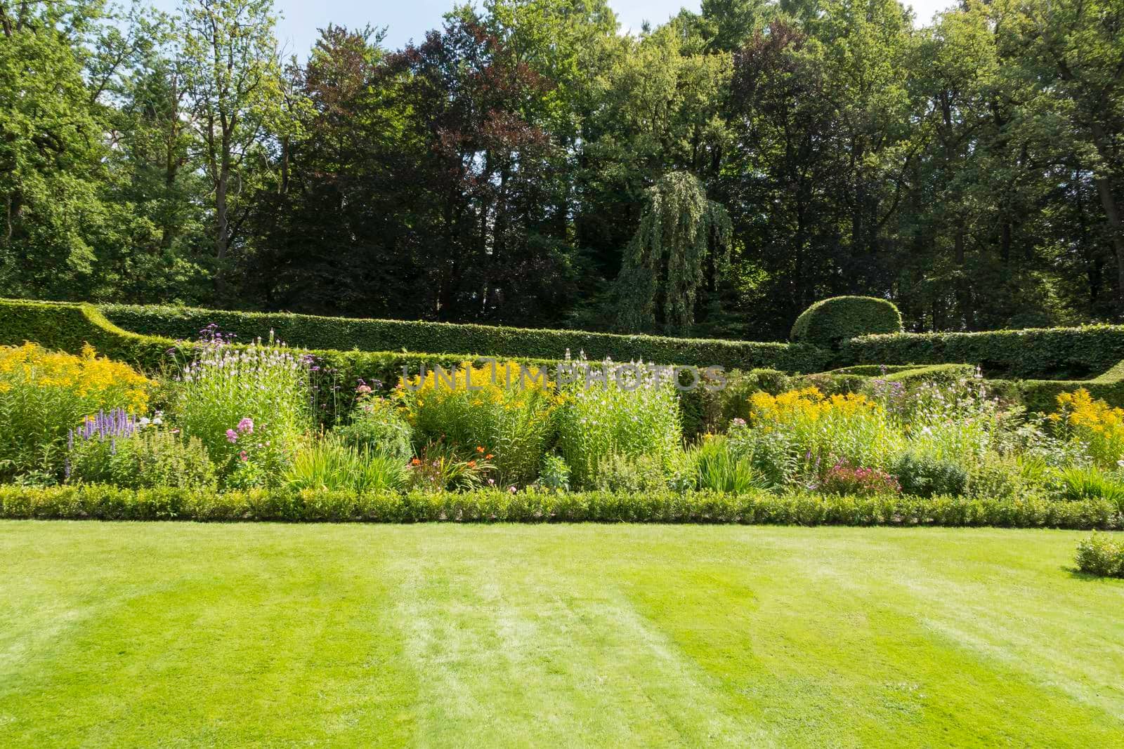 english green garden with borders full of flowers in purple yellow and white