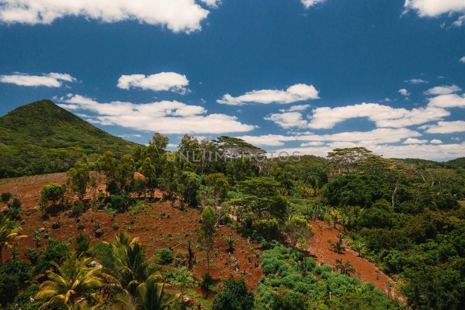 Aerial view of mountains and fields in Mauritius island