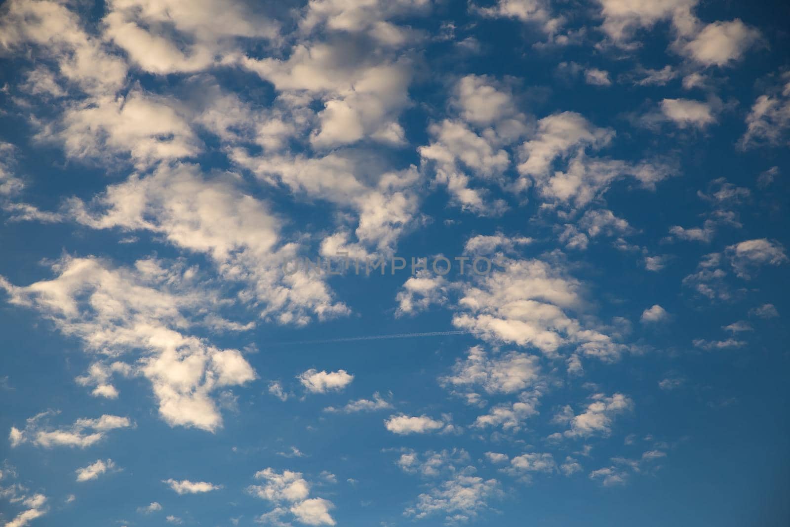 Beautiful blue sky with white fluffy clouds at sunset. Sky panorama for screensavers, postcards, calendar, presentations. Low point at wide angle. Warm spring or summer evening.