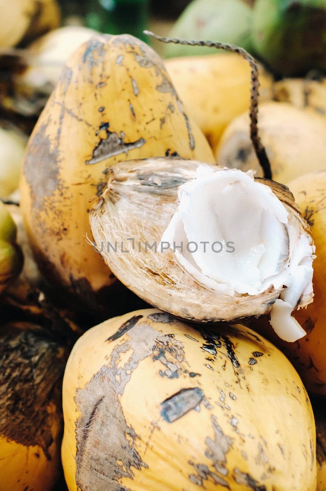 Yellow coconuts are sold in the market of the island of Mauritius. Cut a young coconut with Makoto. Many coconuts on the market.