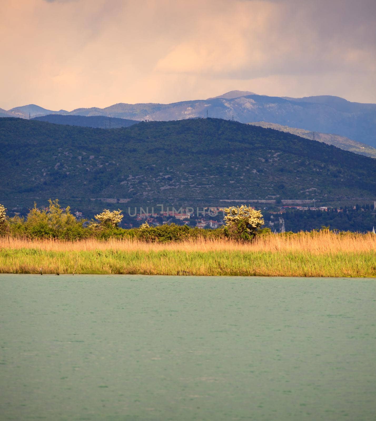 Nature reserve of the Isonzo river mouth