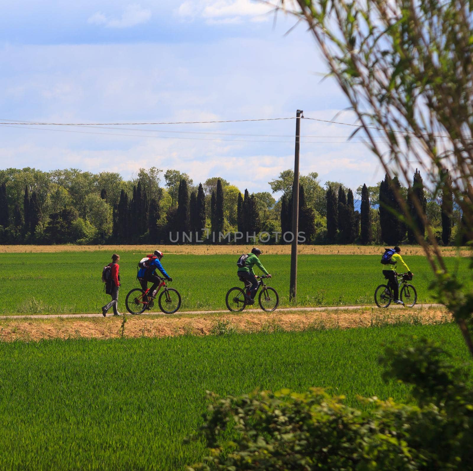 GRADO, ITALY - APRIL, 25: Cyclists riding in the Nature reserve of the Isonzo river mouth on April 25, 2016