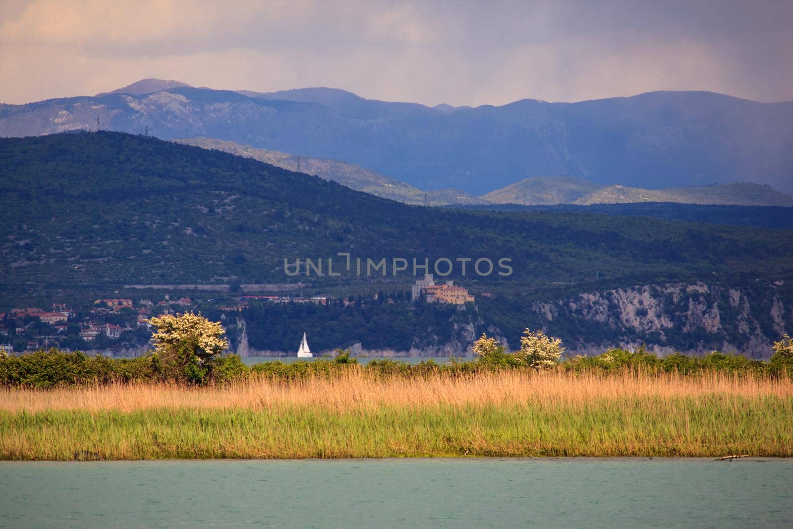 Nature reserve of the Isonzo river mouth