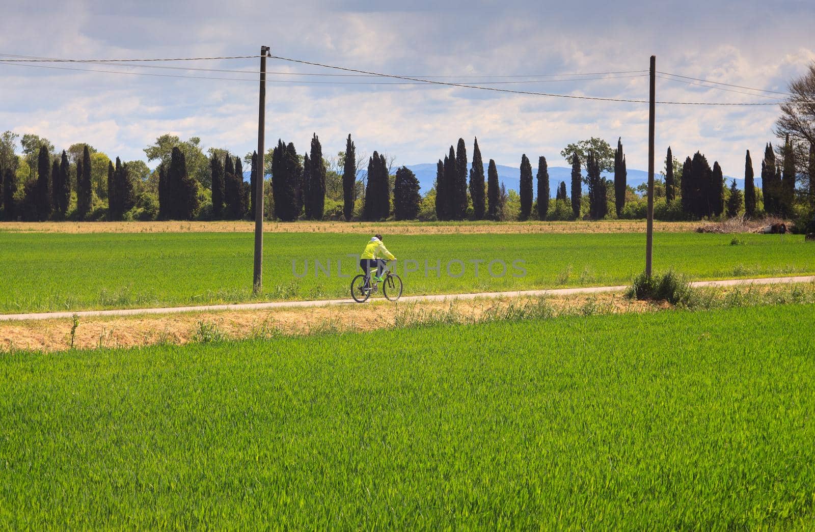 GRADO, ITALY - APRIL, 25: Cyclists riding in the Nature reserve of the Isonzo river mouth on April 25, 2016