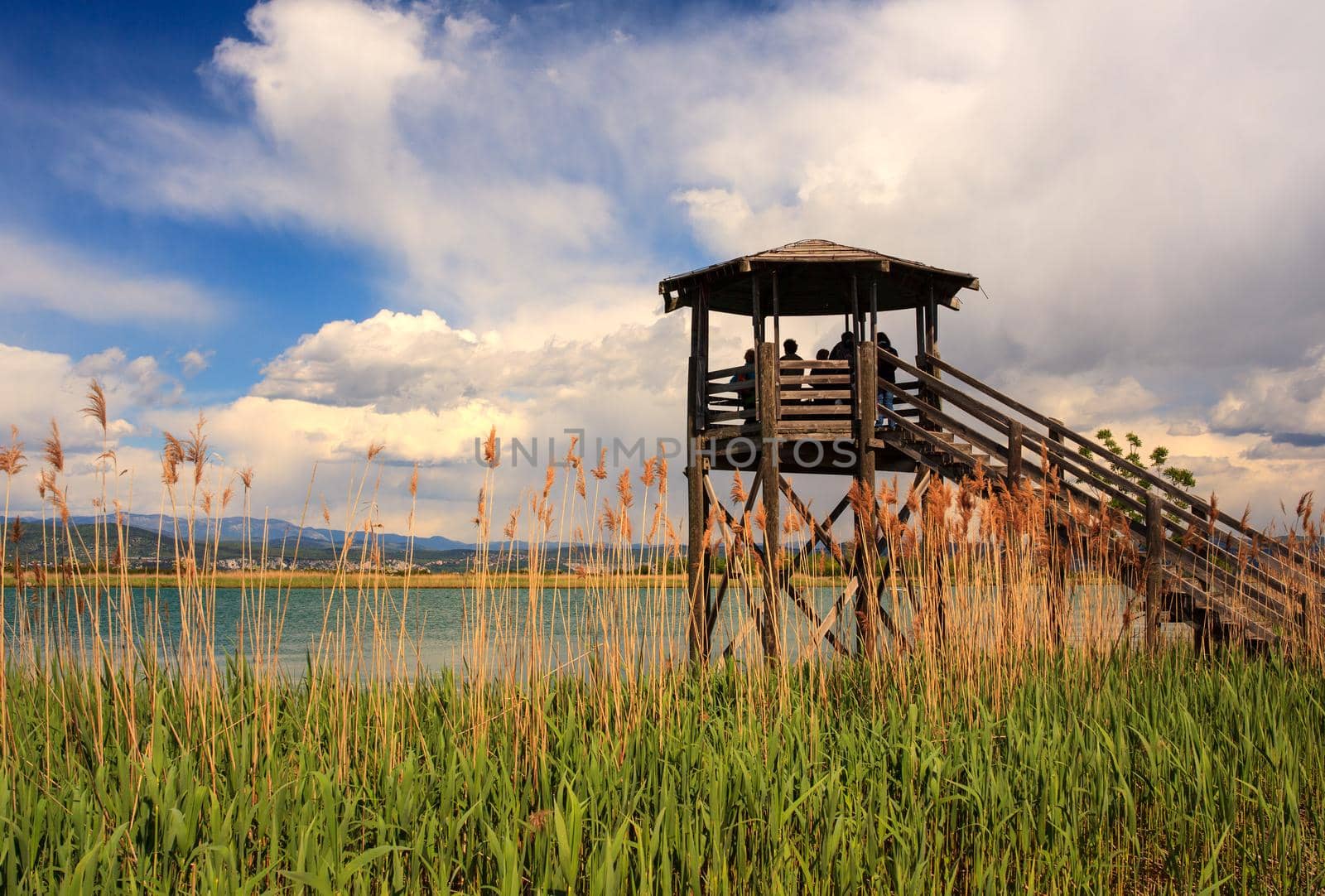 GRADO, ITALY - APRIL, 25: Birdwatching tower in the Nature reserve of the Isonzo river mouth on April 25, 2016