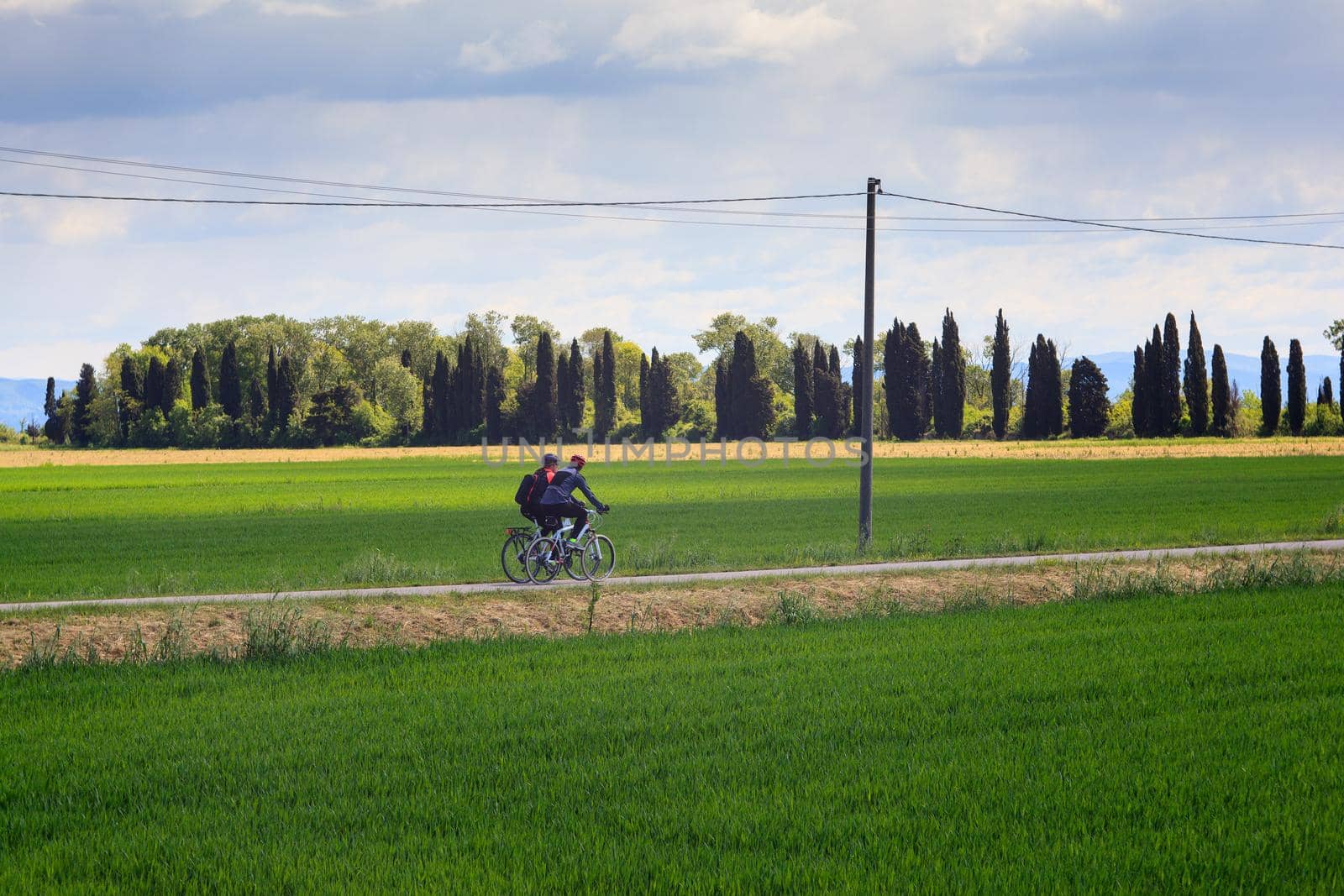 GRADO, ITALY - APRIL, 25: Cyclists riding in the Nature reserve of the Isonzo river mouth on April 25, 2016
