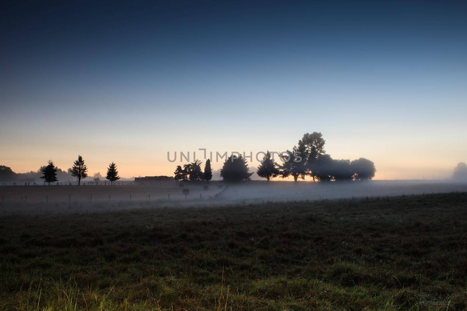 Trees silhouette, Sunrise in the Galicia countryside