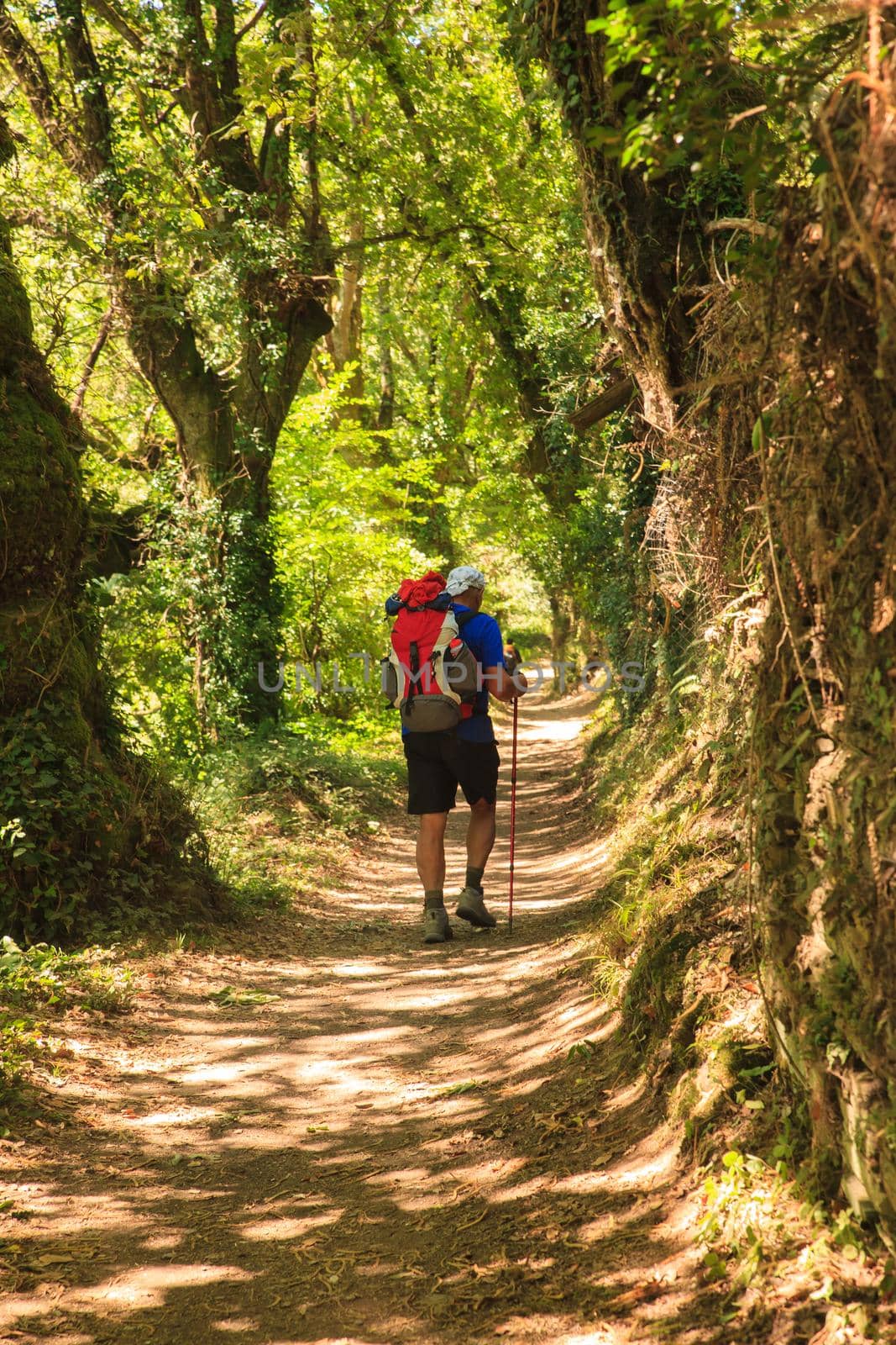 GALICIA, SPAIN - AUGUST, 10: Pilgrim along the way of St. James on 10, 2016