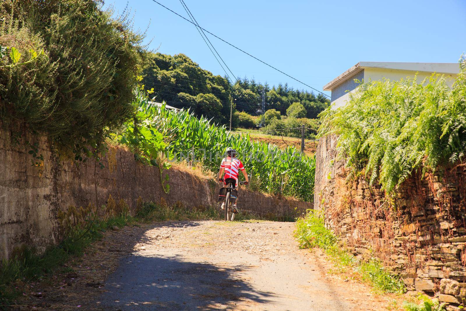 GALICIA, SPAIN - AUGUST, 10: Pilgrim biker along the way of St. James on 10, 2016