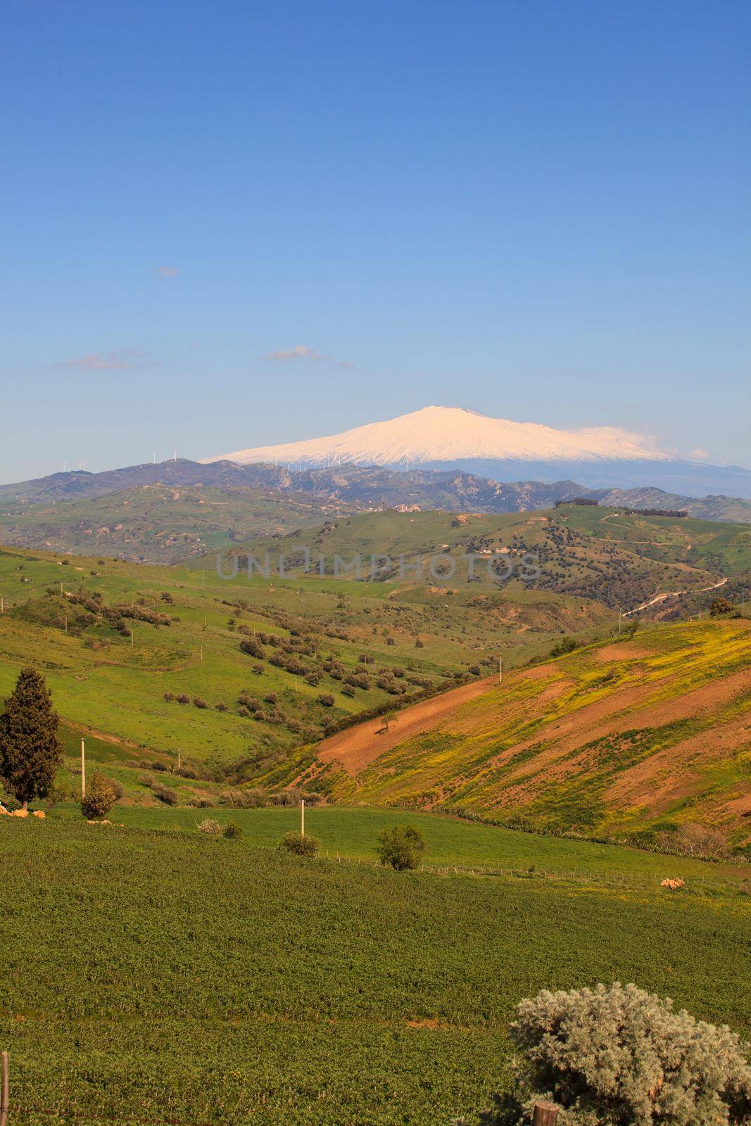 View of Etna volcano and Sicily field