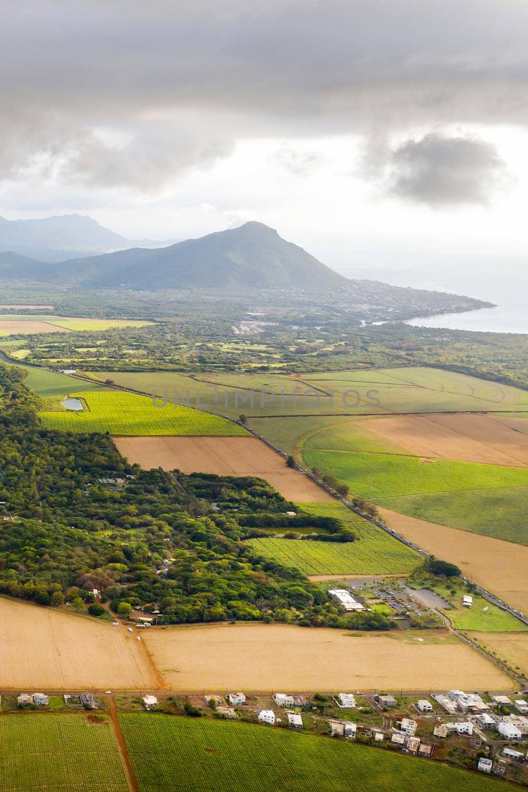 View from the height of the sown fields located on the island of Mauritius.