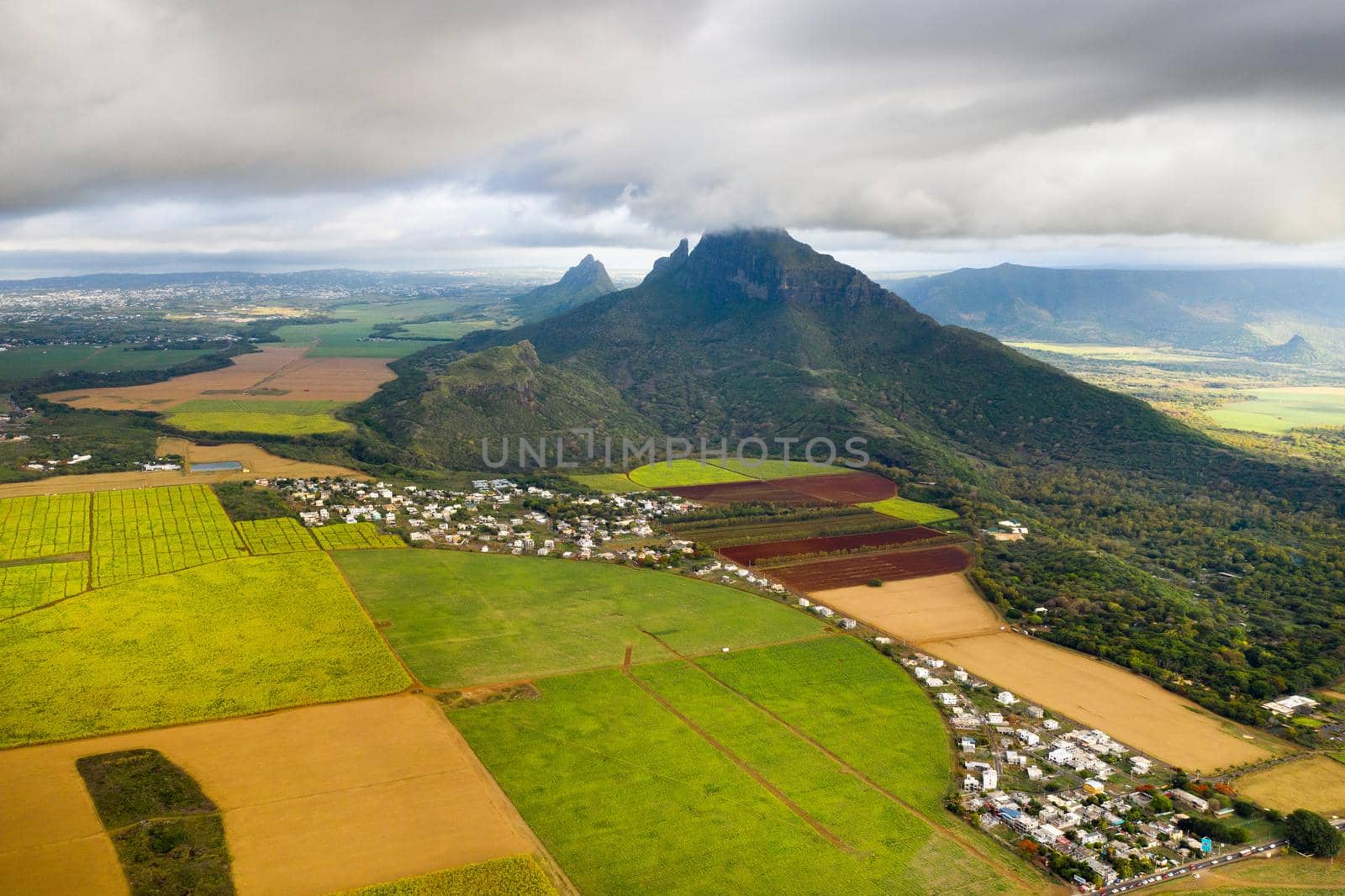 View from the height of the sown fields located on the island of Mauritius.