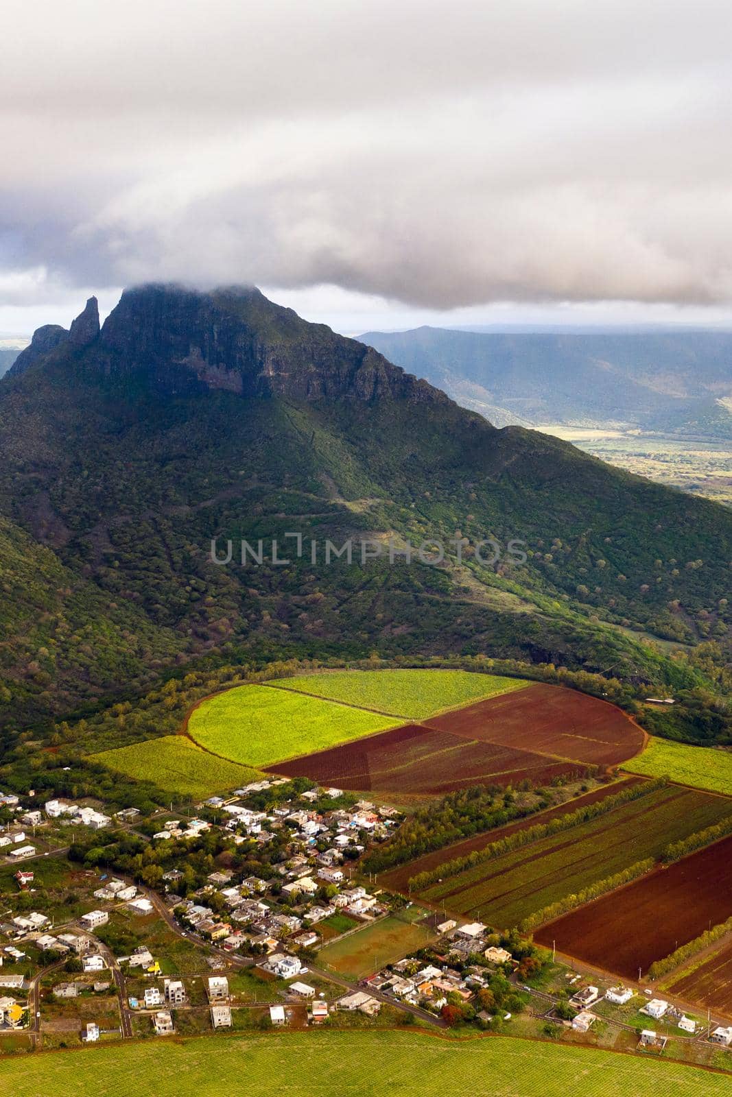 View from the height of the sown fields located on the island of Mauritius.