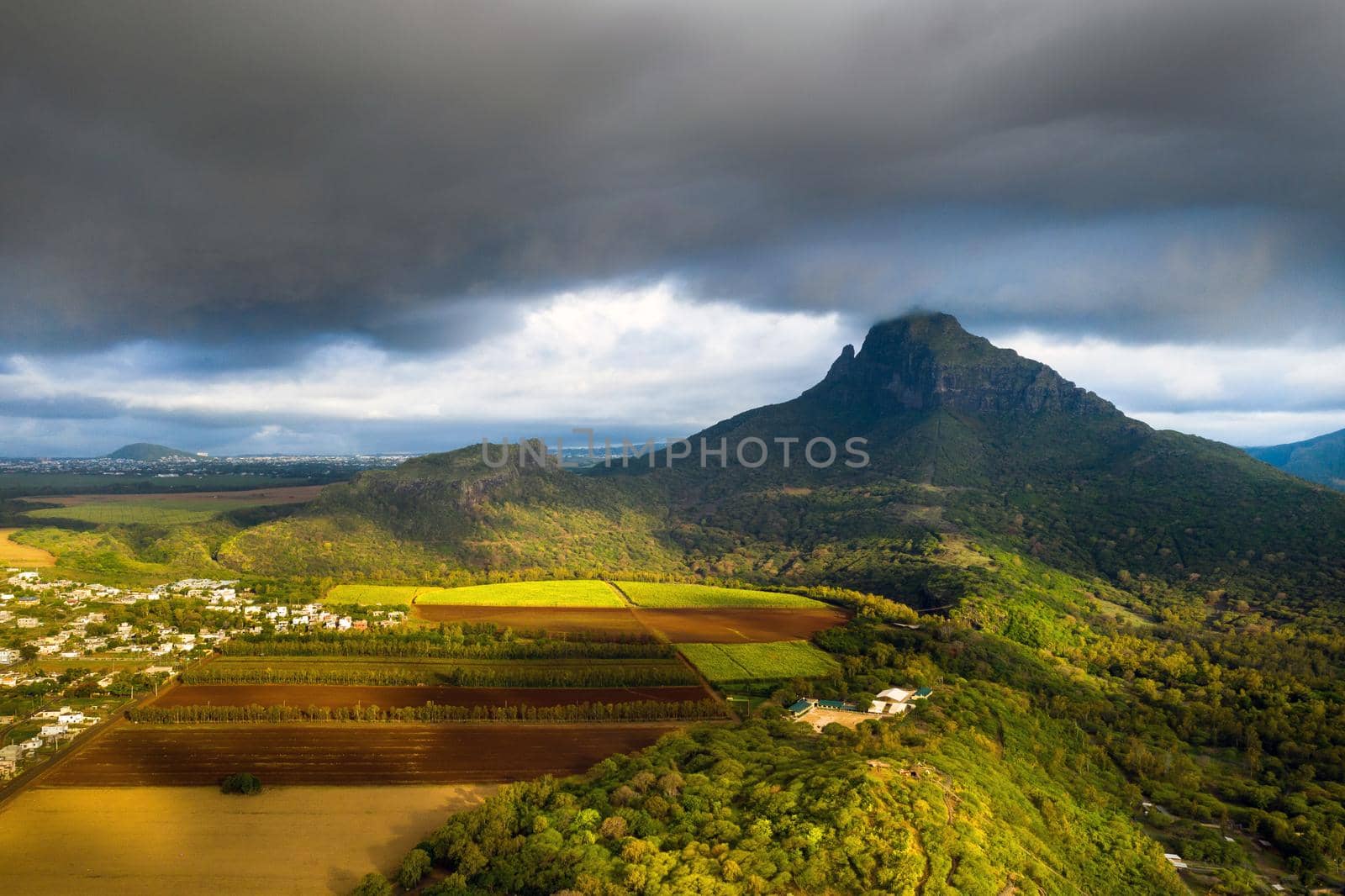 View from the height of the sown fields located on the island of Mauritius by Lobachad