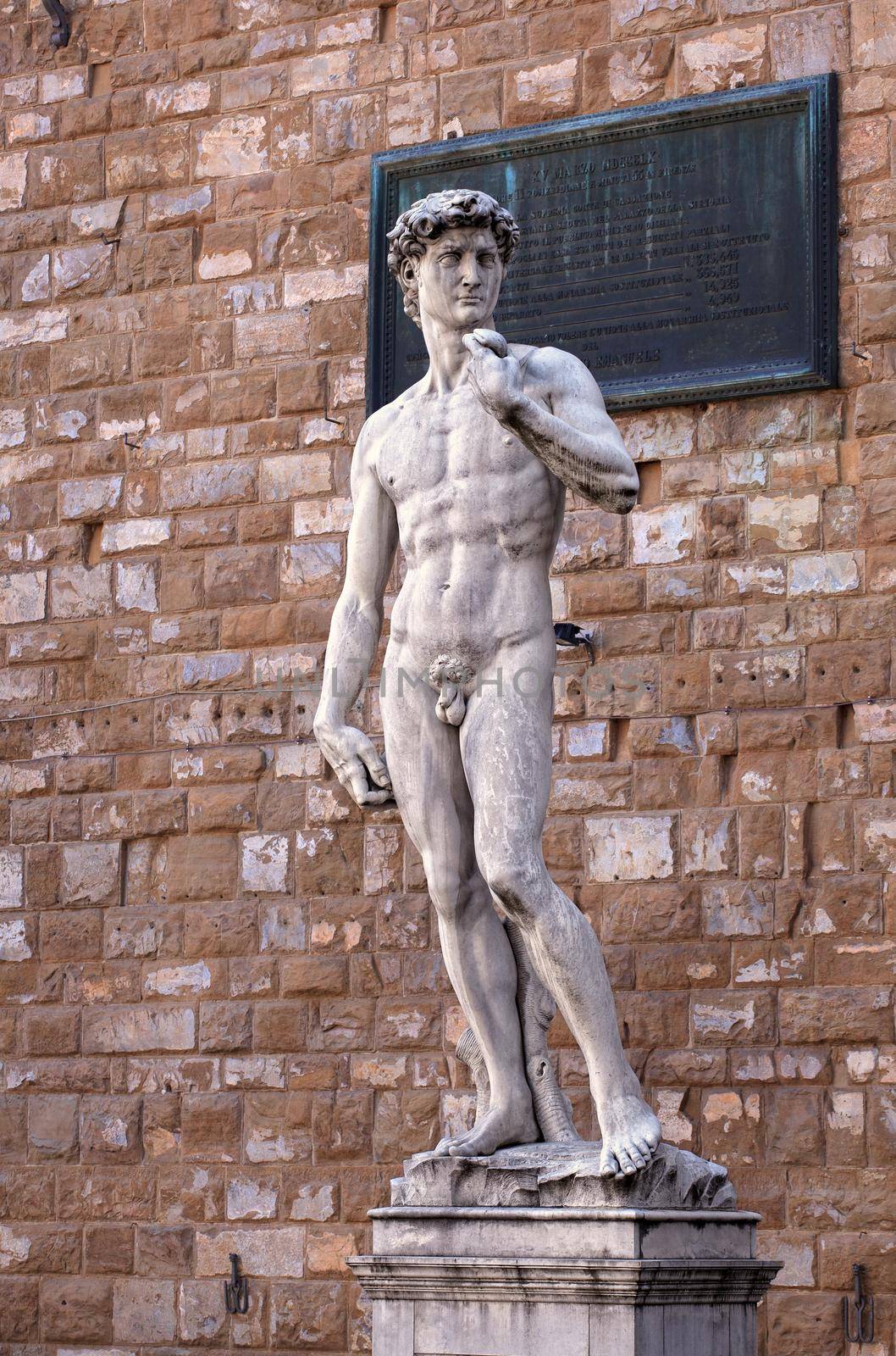 View of the David of Michelangelo in Florence, Tuscany. Italy
