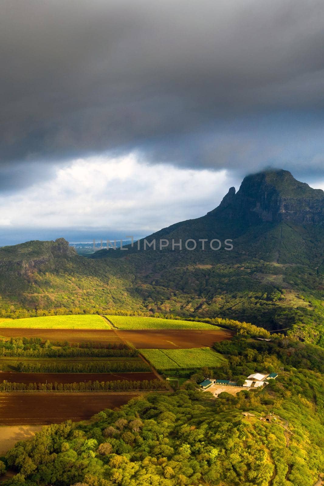 View from the height of the sown fields located on the island of Mauritius by Lobachad