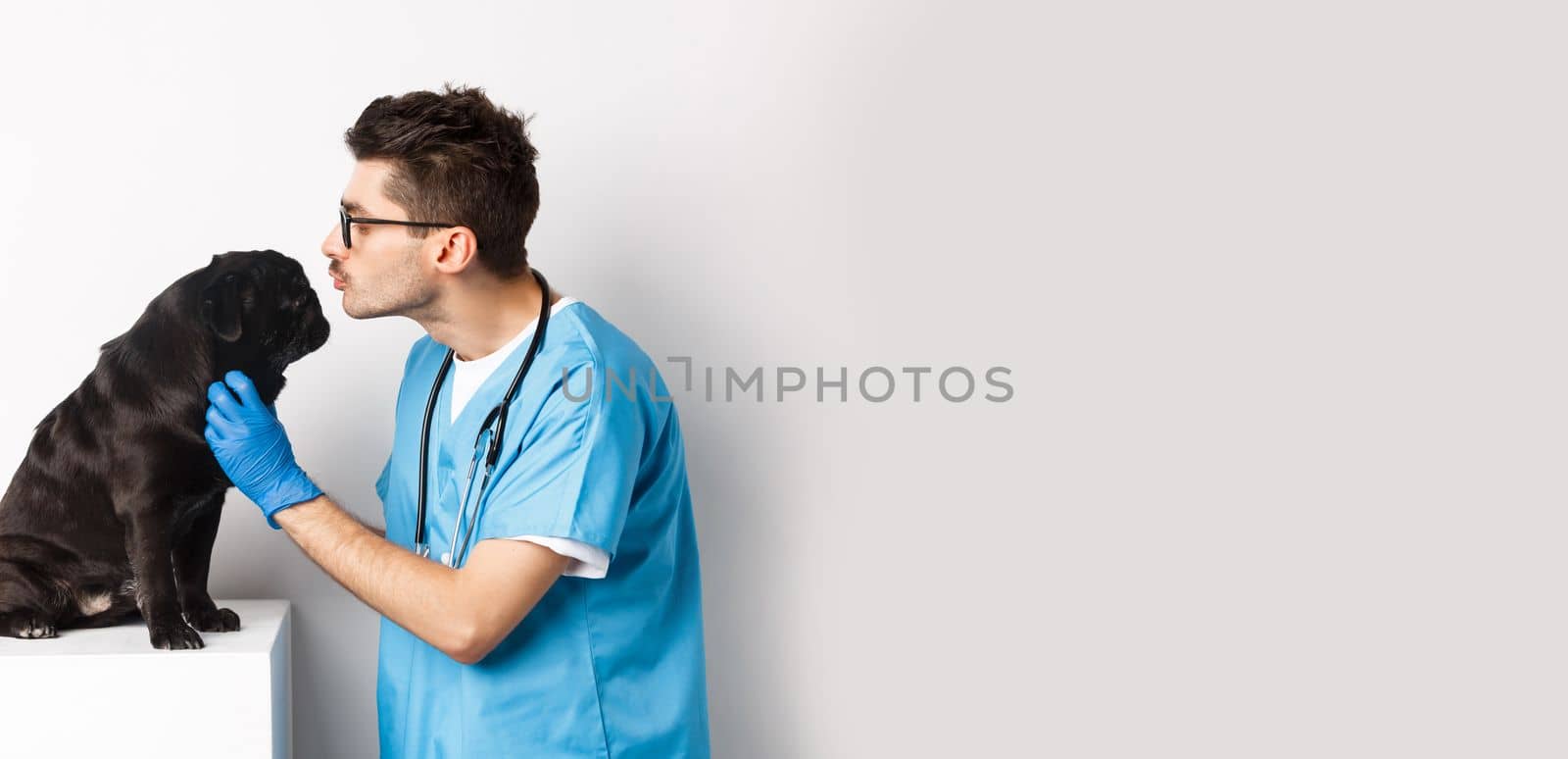 Handsome doctor veterinarian examining black pug, vet kissing and petting cute dog, white background by Benzoix
