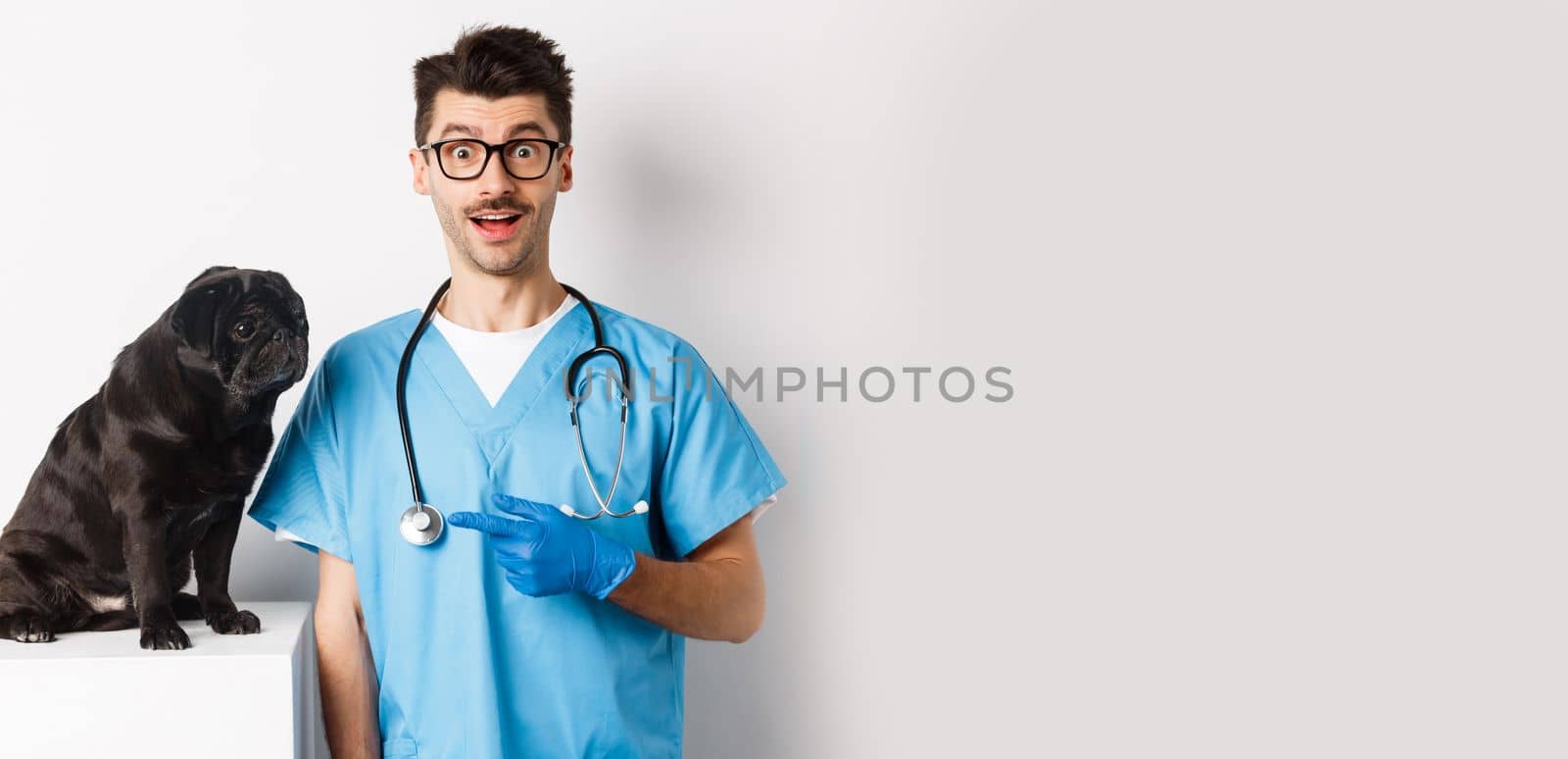 Amazed doctor staring at camera, male veterinarian pointing finger at cute black pug dog on examination table, white background.