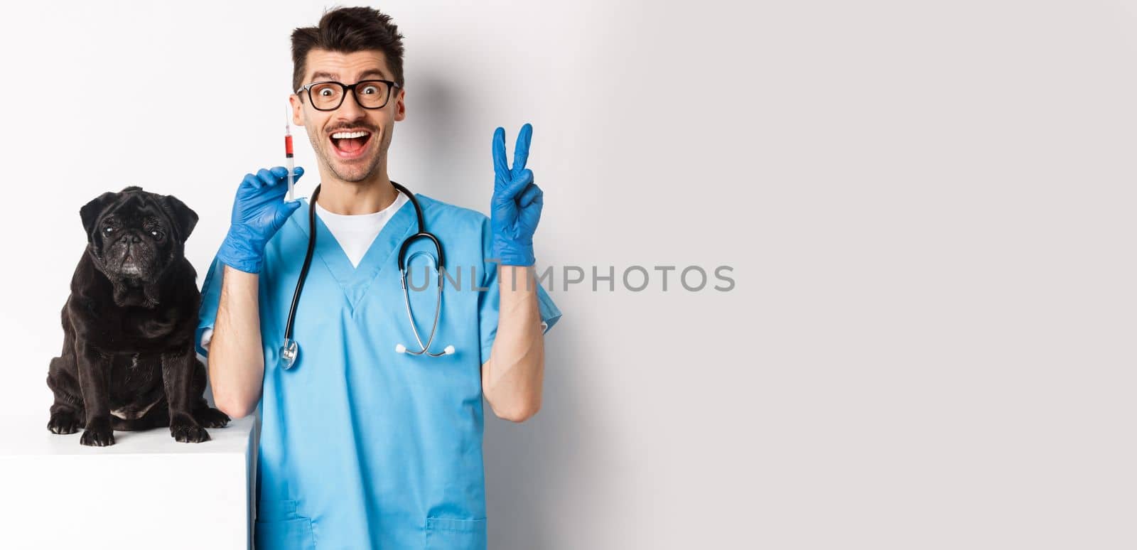 Handsome doctor veterinarian holding syringe and standing near cute black pug, vaccinating dog, white background by Benzoix