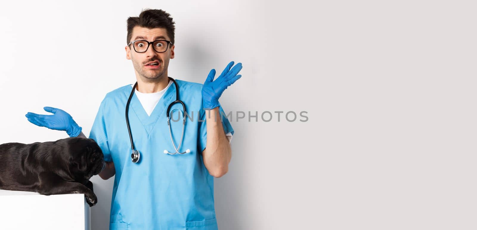 Veterinarian doctor intern in scrubs shrugging, confused how to examine dog, pug lying on table, white background by Benzoix