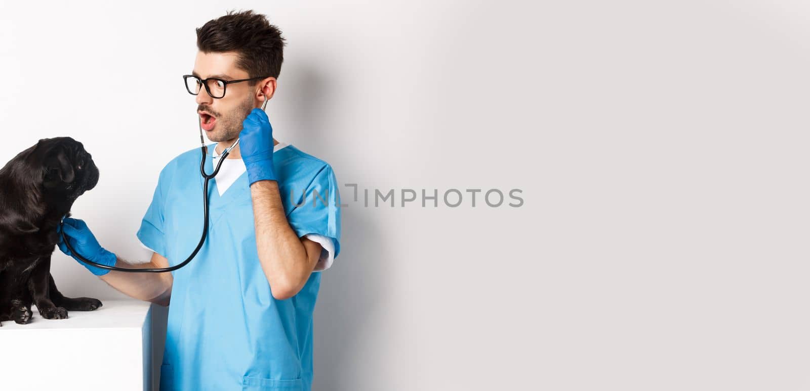 Image of handsome doctor in vet clinic examining dog health, checking pug lungs with stethoscope, standing over white background by Benzoix