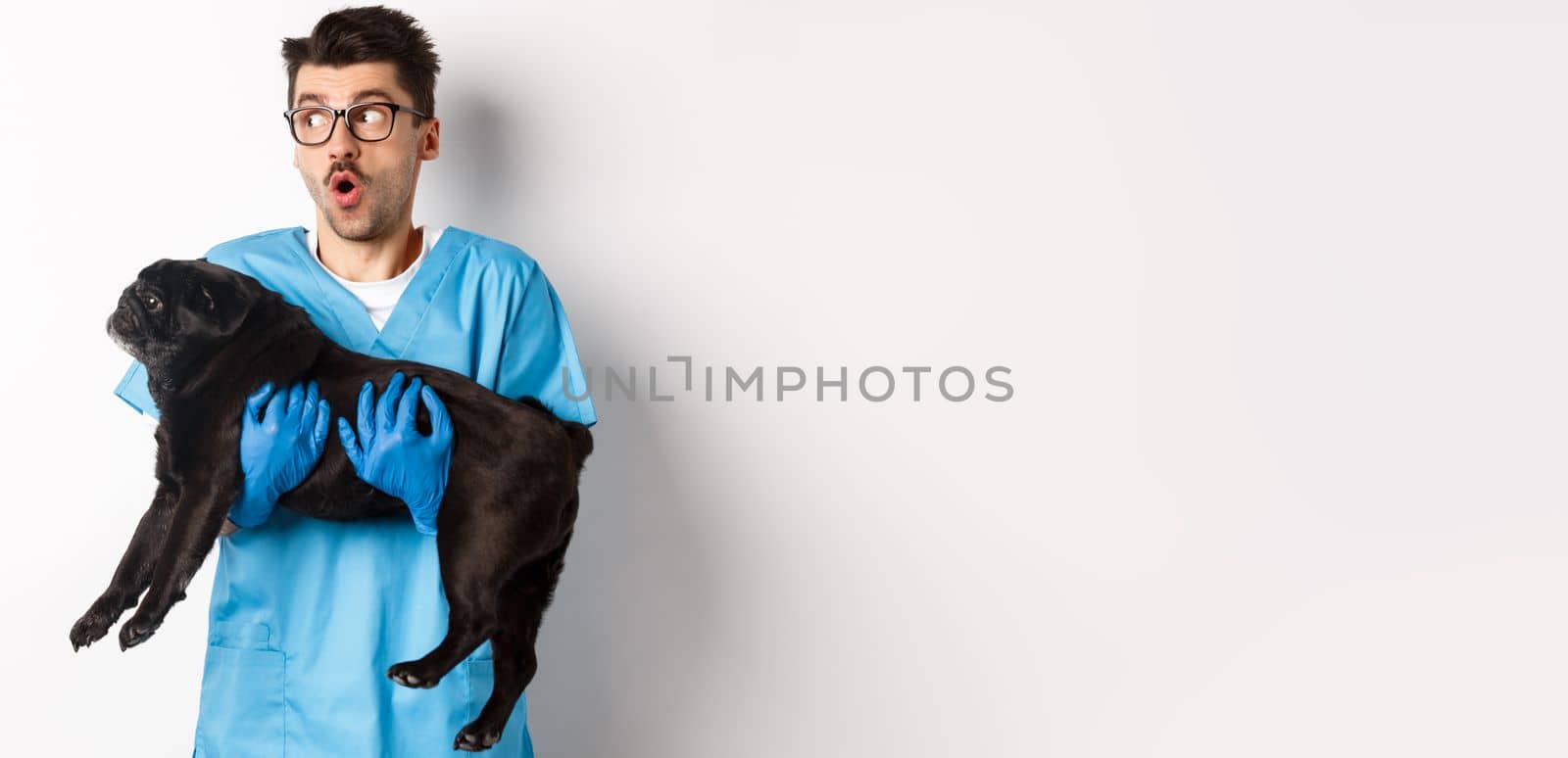Vet clinic concept. Amazed male doctor veterinarian holding cute black pug dog, smiling and staring left impressed, standing over white background.